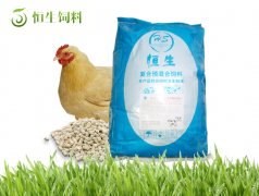 家禽飼料產品